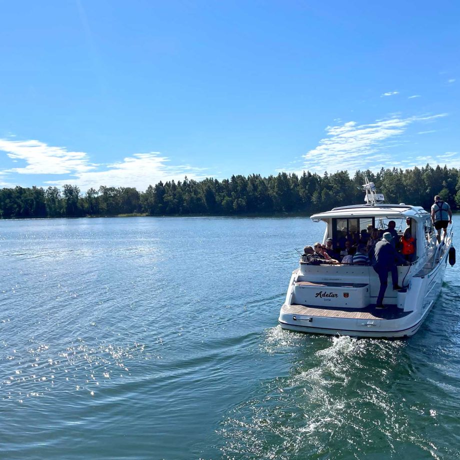 Activities and cruises